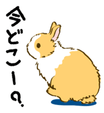 Everyday with the rabbits sticker #12022348