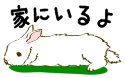 Everyday with the rabbits sticker #12022349