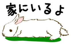 Everyday with the rabbits sticker #12022349