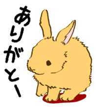 Everyday with the rabbits sticker #12022354