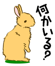 Everyday with the rabbits sticker #12022362