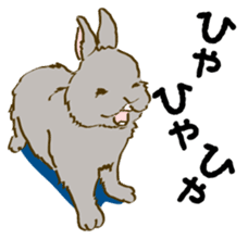 Everyday with the rabbits sticker #12022363