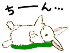 Everyday with the rabbits sticker #12022366