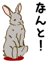 Everyday with the rabbits sticker #12022372