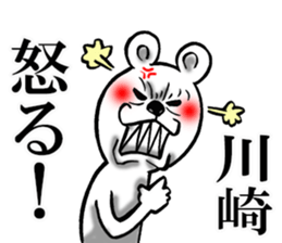 The sticker which Kawasaki use sticker #12023063