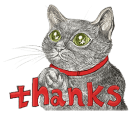 Black Addy Meow sticker #12024806