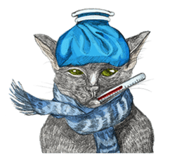 Black Addy Meow sticker #12024819