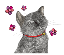 Black Addy Meow sticker #12024822