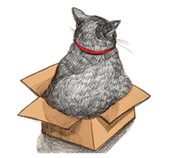 Black Addy Meow sticker #12024827