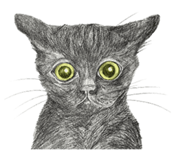 Black Addy Meow sticker #12024829