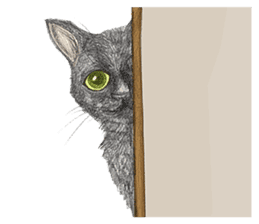 Black Addy Meow sticker #12024830