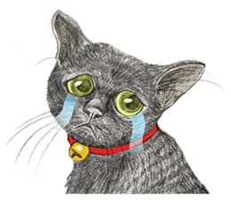 Black Addy Meow sticker #12024831