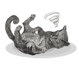 Black Addy Meow sticker #12024834