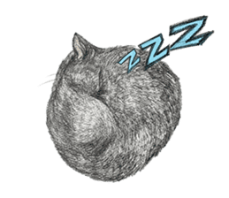 Black Addy Meow sticker #12024837