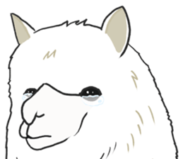 Crying Animals sticker #12024919