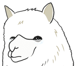 Crying Animals sticker #12024919