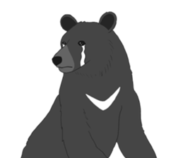 Crying Animals sticker #12024924