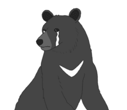 Crying Animals sticker #12024924