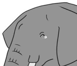 Crying Animals sticker #12024926