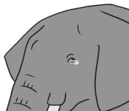 Crying Animals sticker #12024926