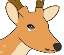 Crying Animals sticker #12024927