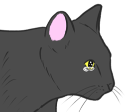 Crying Animals sticker #12024929