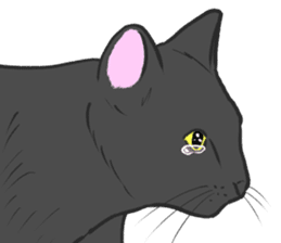 Crying Animals sticker #12024929