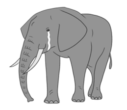 Crying Animals sticker #12024930