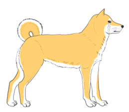 Crying Animals sticker #12024932