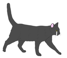 Crying Animals sticker #12024933