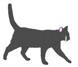 Crying Animals sticker #12024933