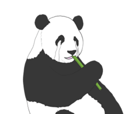 Crying Animals sticker #12024938