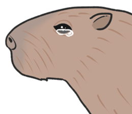 Crying Animals sticker #12024951