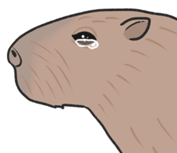 Crying Animals sticker #12024951