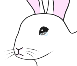 Crying Animals sticker #12024952