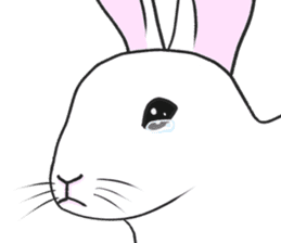 Crying Animals sticker #12024952