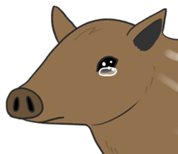 Crying Animals sticker #12024953