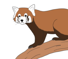 Crying Animals sticker #12024954