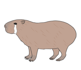 Crying Animals sticker #12024955