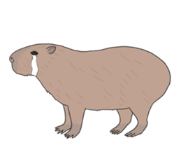 Crying Animals sticker #12024955