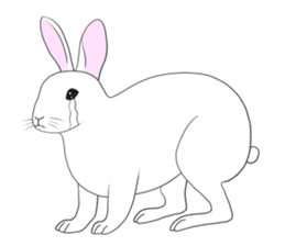 Crying Animals sticker #12024956