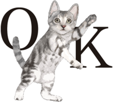 Sticker for people who like a cat sticker #12026830