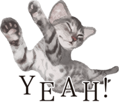 Sticker for people who like a cat sticker #12026832