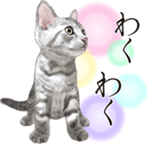 Sticker for people who like a cat sticker #12026836