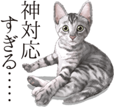 Sticker for people who like a cat sticker #12026837