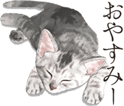 Sticker for people who like a cat sticker #12026840