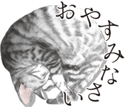 Sticker for people who like a cat sticker #12026841