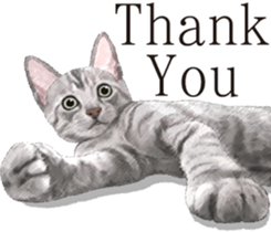 Sticker for people who like a cat sticker #12026842