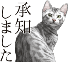 Sticker for people who like a cat sticker #12026844