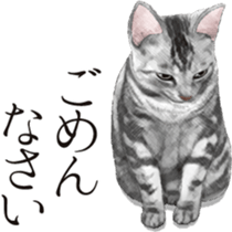 Sticker for people who like a cat sticker #12026846